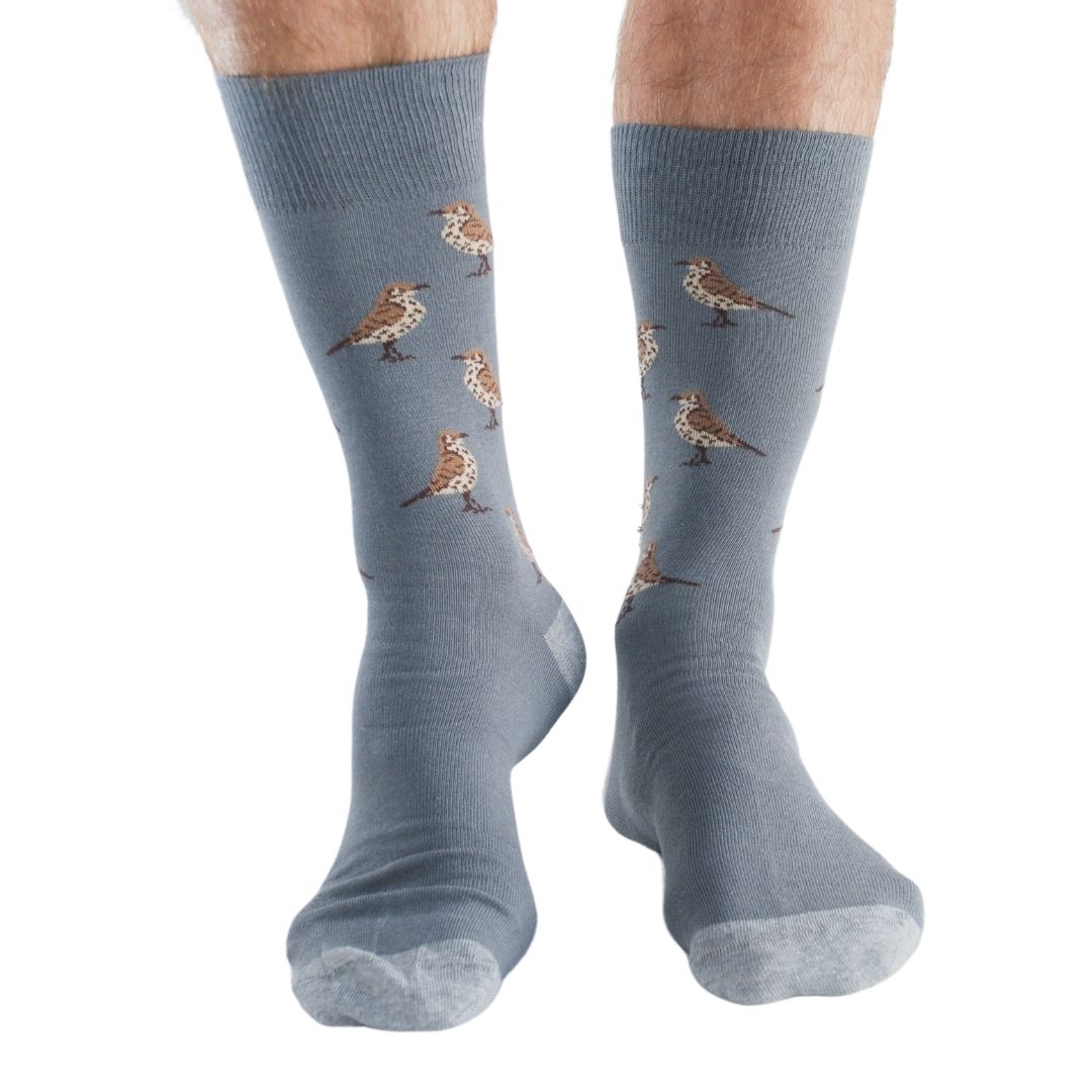 Garden Birds Bamboo Socks