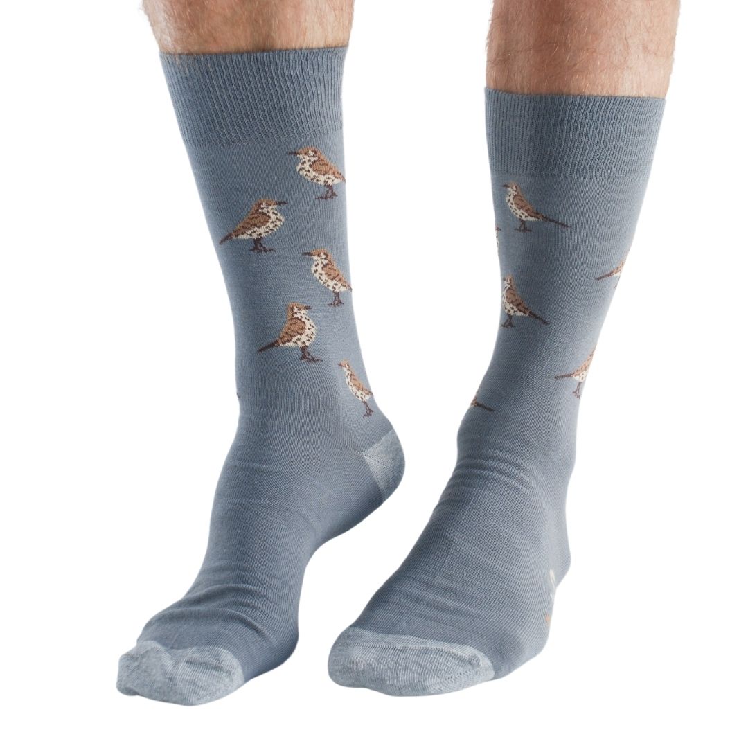 Garden Birds Bamboo Socks