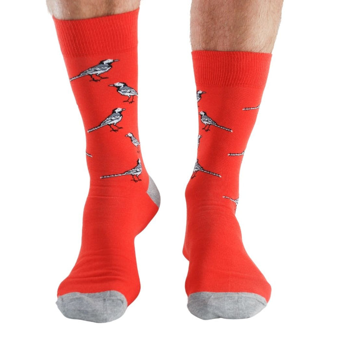 Garden Birds 4 pairs Bamboo Socks