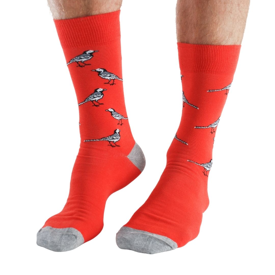 Garden Birds Bamboo Socks