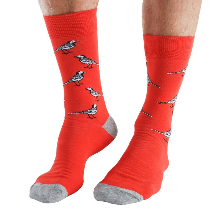 Garden Birds 4 pairs Bamboo Socks