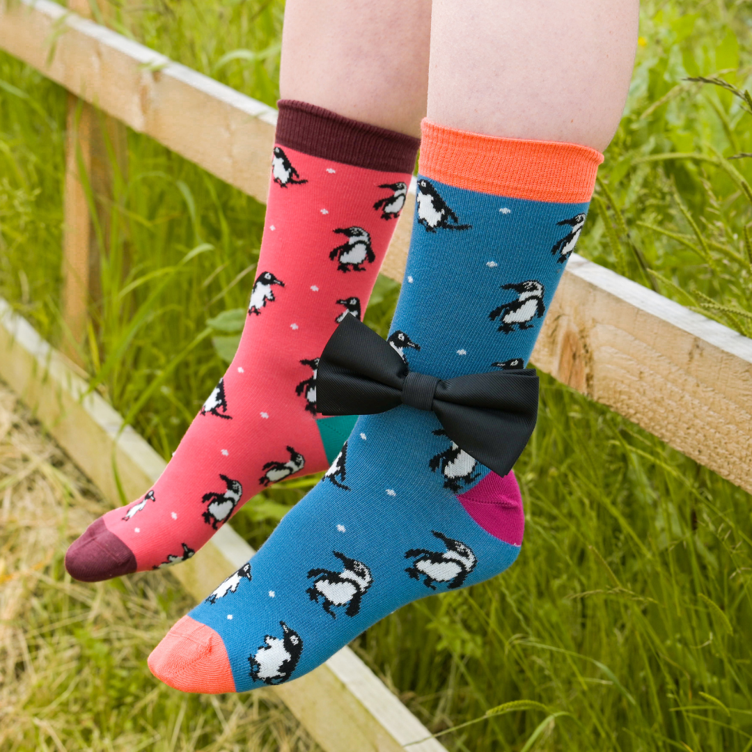 Penguin Bamboo Socks