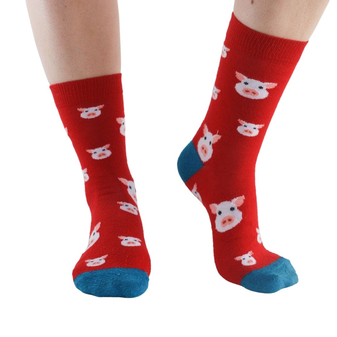 Pigs 3 pairs Bamboo Socks