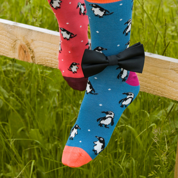 Penguin Bamboo Socks