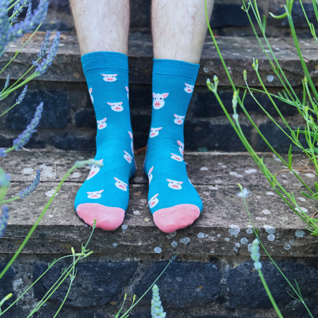 Pigs Bamboo Socks