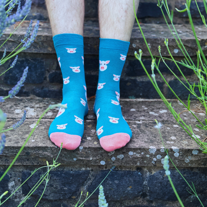 Pigs Bamboo Socks