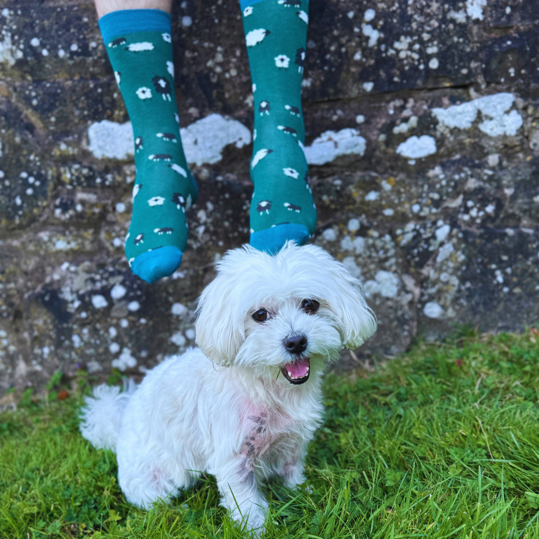 Sheep Bamboo Socks