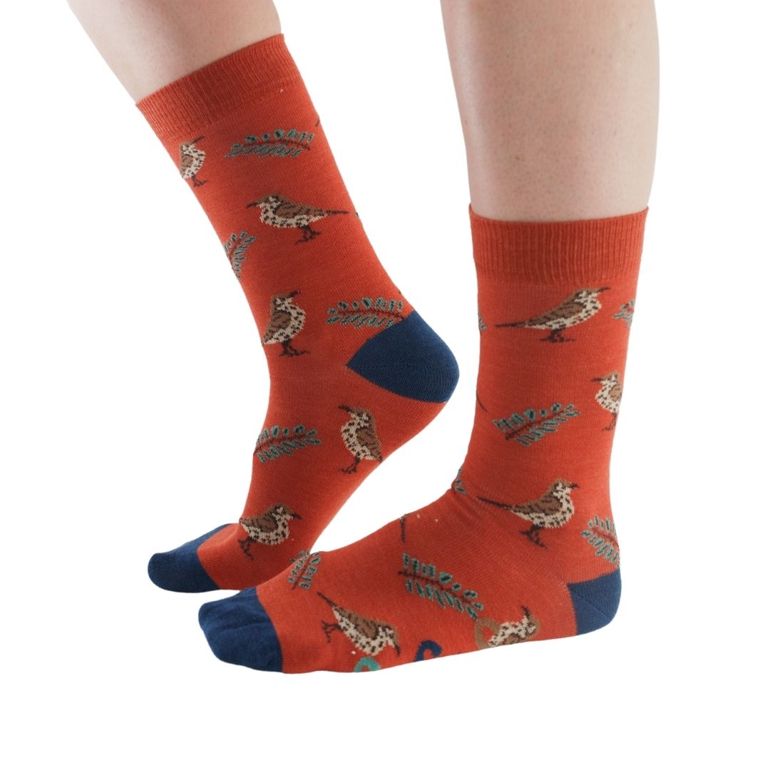 Garden Birds 4 pairs Bamboo Socks