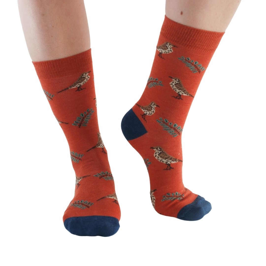 Garden Birds 4 pairs Bamboo Socks