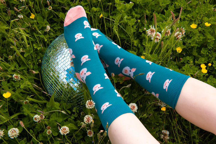 Pigs 3 pairs Bamboo Socks