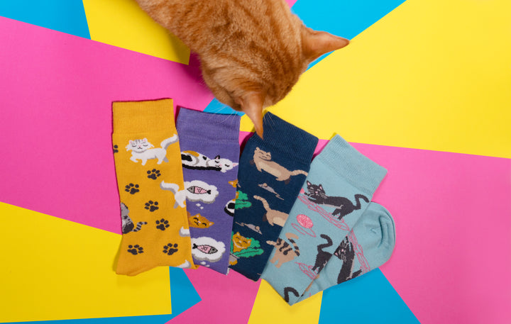 Lot de 4 paires de chaussettes en bambou pour chat